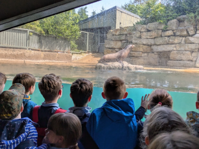 Dublin Zoo