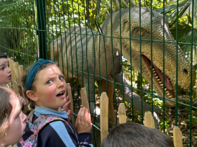 Dublin Zoo