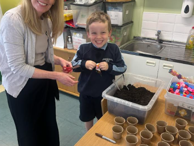Clay SI & Planting 