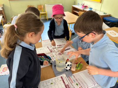 Senior Infants