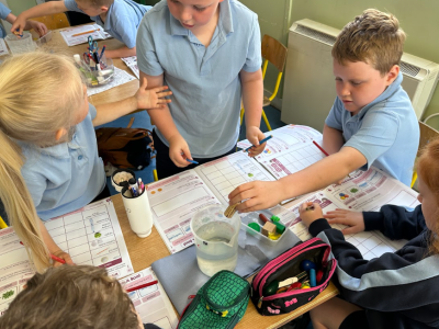 Senior Infants