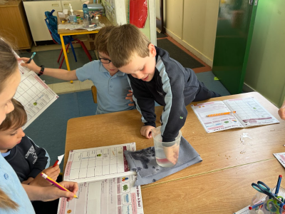 Senior Infants