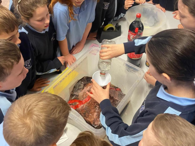 Science Week 