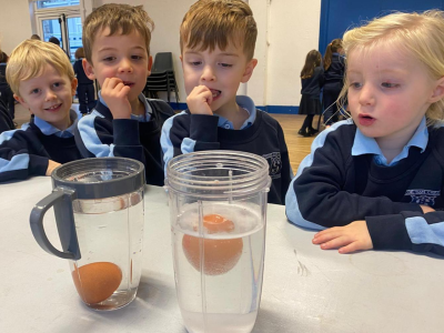 Science Week 