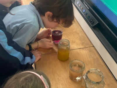 2nd Class Science Week 