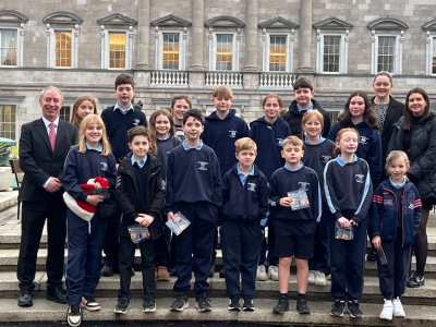 Leinster House