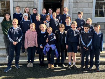 Leinster House
