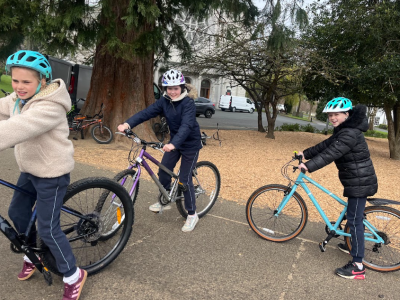 Cycling Safety
