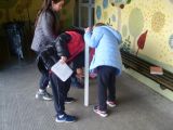 Science in Third Class - using our scientific skills