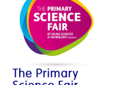 Primary Science Fair - RDS - January 2019
