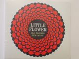 Little Flower CD, featuring pupils from Scoil San Treasa
