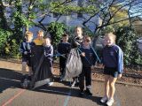 Litter pick