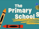 Primary school survey.