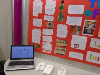 Primary Science Fair - RDS - January 2019
