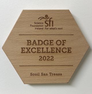 Badge of Excellence 