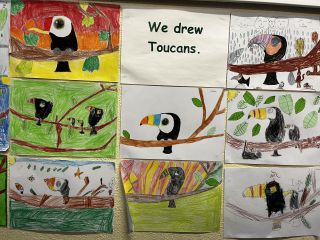 Toucan Rang 2