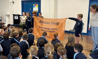 Amber Flag Assembly