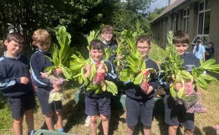 School Garden 