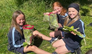 School Garden 