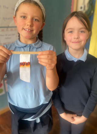 2nd Class Chromatography