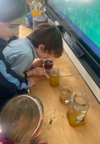 2nd Class Science Week 