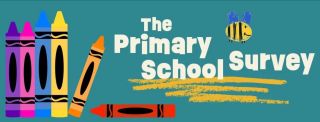 Primary School Survey 