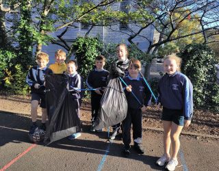 Litter pick