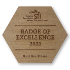 SFI Badge of Excellence 2022